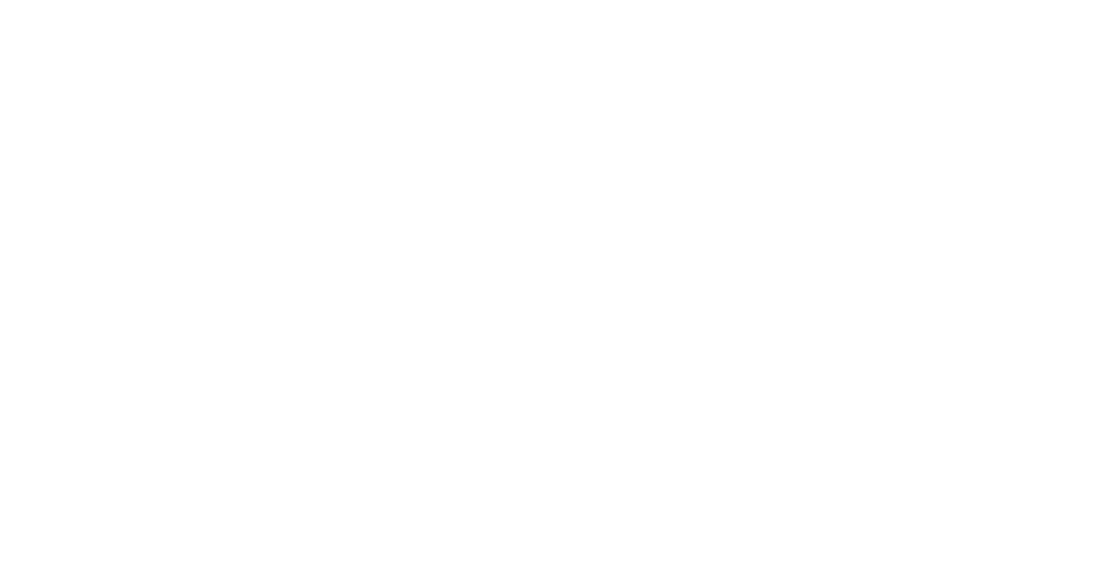 logo principal darwie en blanc